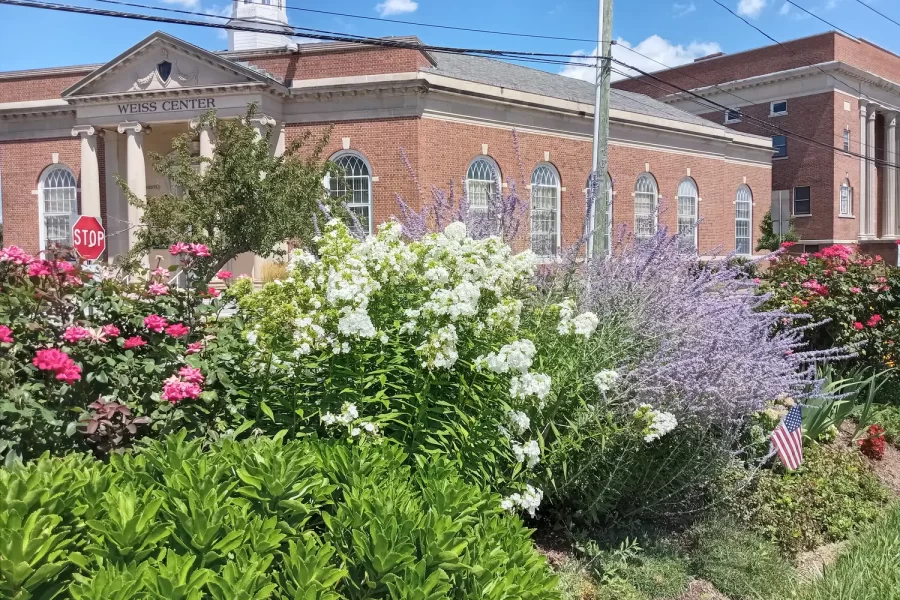 The Margaret Trotter Memorial Garden