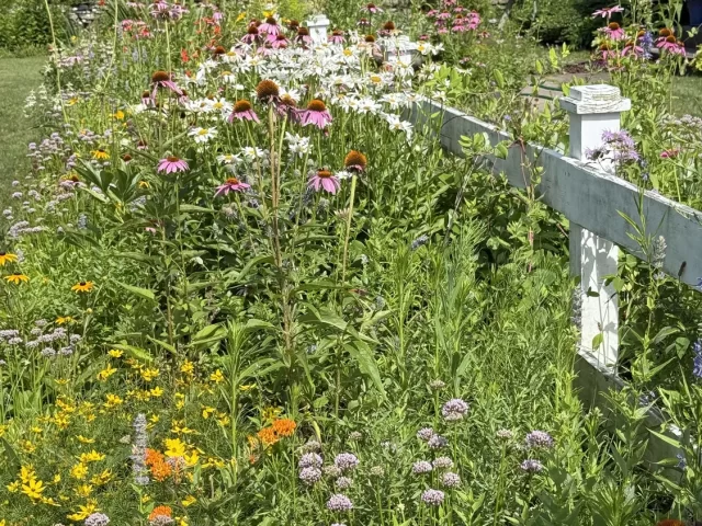 “Small Meadows, Flowering Lawns, and How to Plant Them at Home” presented by Diane St. John of Natureworks