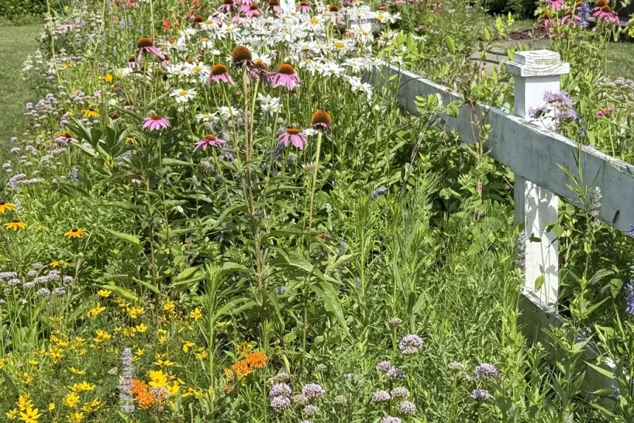 “Small Meadows, Flowering Lawns, and How to Plant Them at Home” presented by Diane St. John of Natureworks
