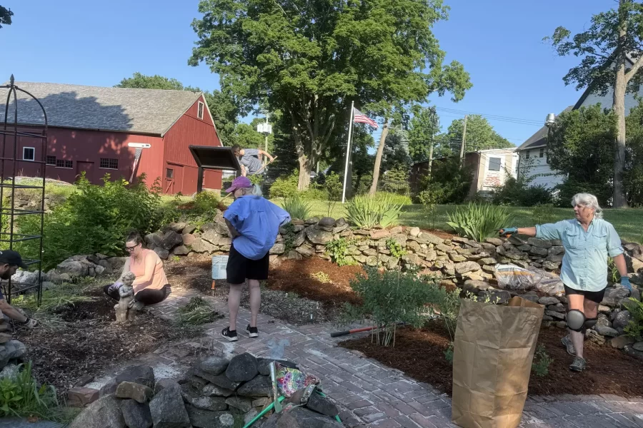 Plant & Garden Harvest Exchange + Pollinator Pathway Spotlight